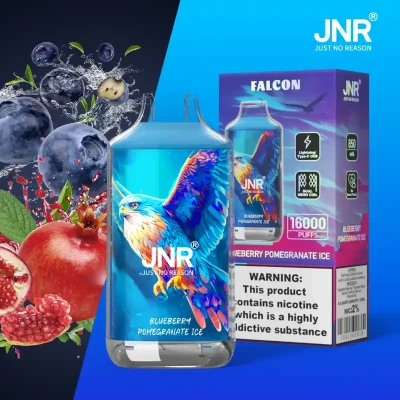 Blueberry Pomegranate ice | Falcon 16k Puffs Disposable Vape